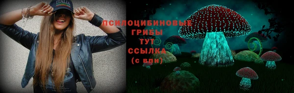 гашик Богданович