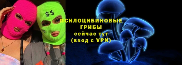 гашик Богданович
