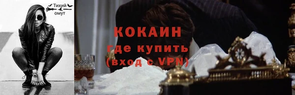 гашик Богданович