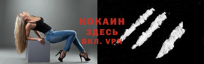 гашик Богданович