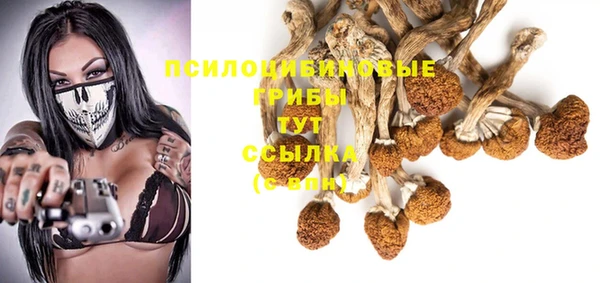 гашик Богданович