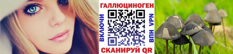 ОМГ ОМГ вход  Бодайбо  Галлюциногенные грибы Psilocybe 